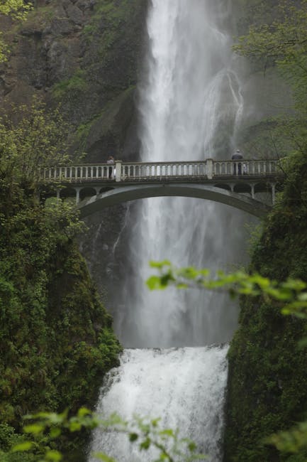<b>My Endau-Rompin Highlights: Treks, Waterfalls, and Wildlife Encounters</b> <b>My Endau-Rompin Highlights: Treks, Waterfalls, and Wildlife Encounters</b>
