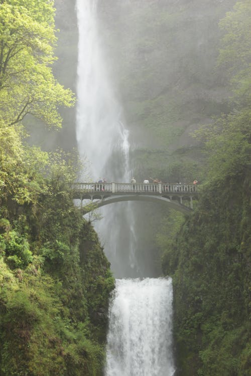 A Bridge Near a Waterfall