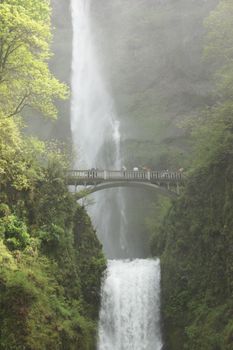 在俄勒冈州郁郁葱葱的风景中，一座风景优美的桥梁横跨穆特诺玛瀑布