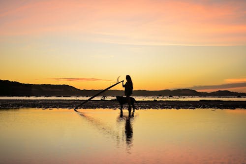 Silhouette of a Woman Holding a Surfboard on the Beach during Sunset