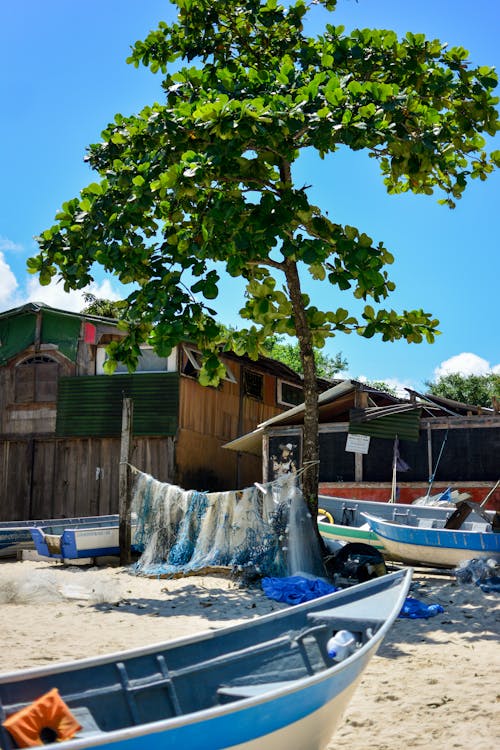 Boats on the Seashore Near a House