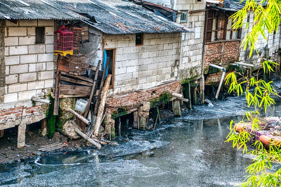 Sewage Cleanup service in Freeport, New York — sewage cleanup and sanitization