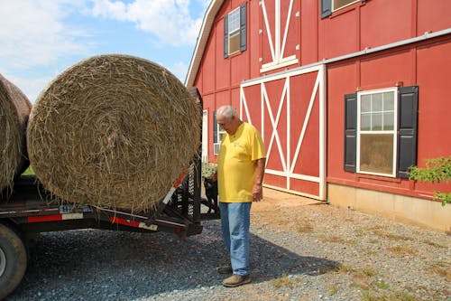 A Man in Yellow Shirt and Denim Jeans Standing Near a Haystack