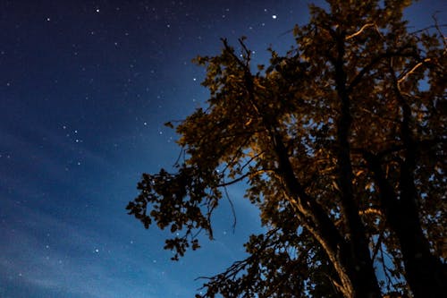 Free stock photo of dark, milky way, nature