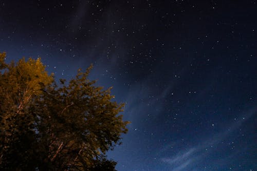 Free stock photo of dark, milky way, nature