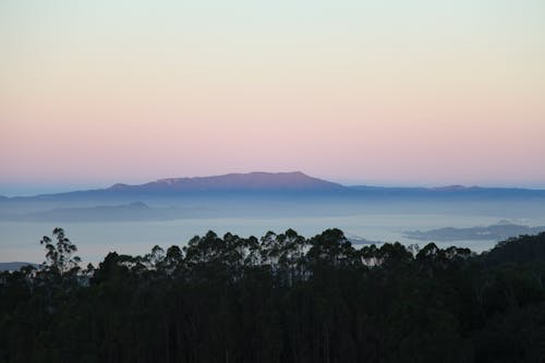 Free stock photo of dawn, mountain, trees