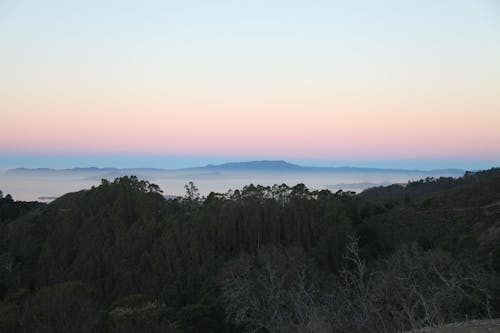 Free stock photo of dawn, landscape, trees