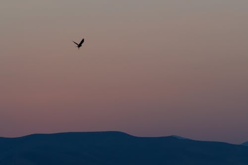 Ilmainen kuvapankkikuva tunnisteilla alhaalta, auringonlasku, auringonnousu