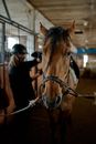 Horse muzzle near unrecognizable female jockey in stall