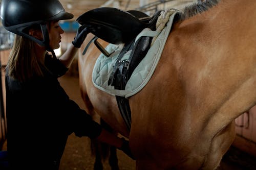 Free Serious young woman preparing horse for riding Stock Photo