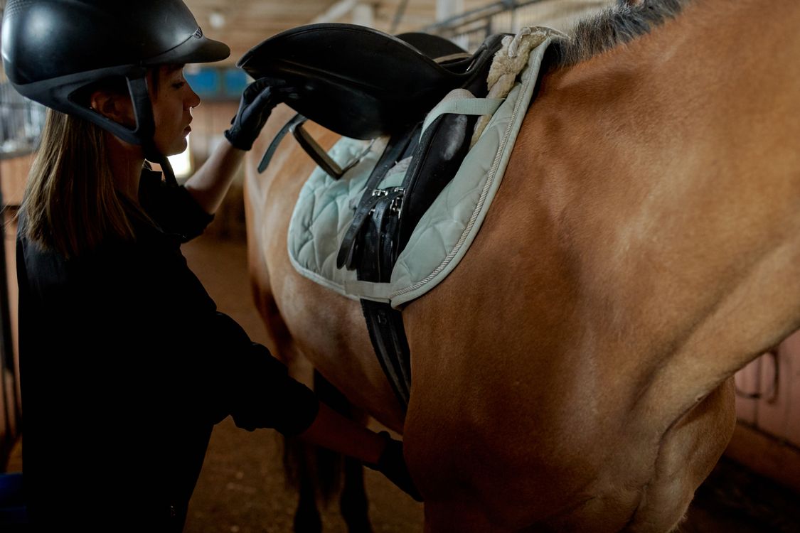 Winter Horse Care, Tips to Get Ready for Riding Season