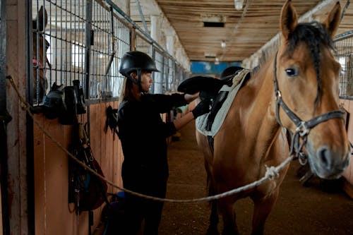 Mujer Joven Concentrada En La Silla De Montar De Caballo De Fijación