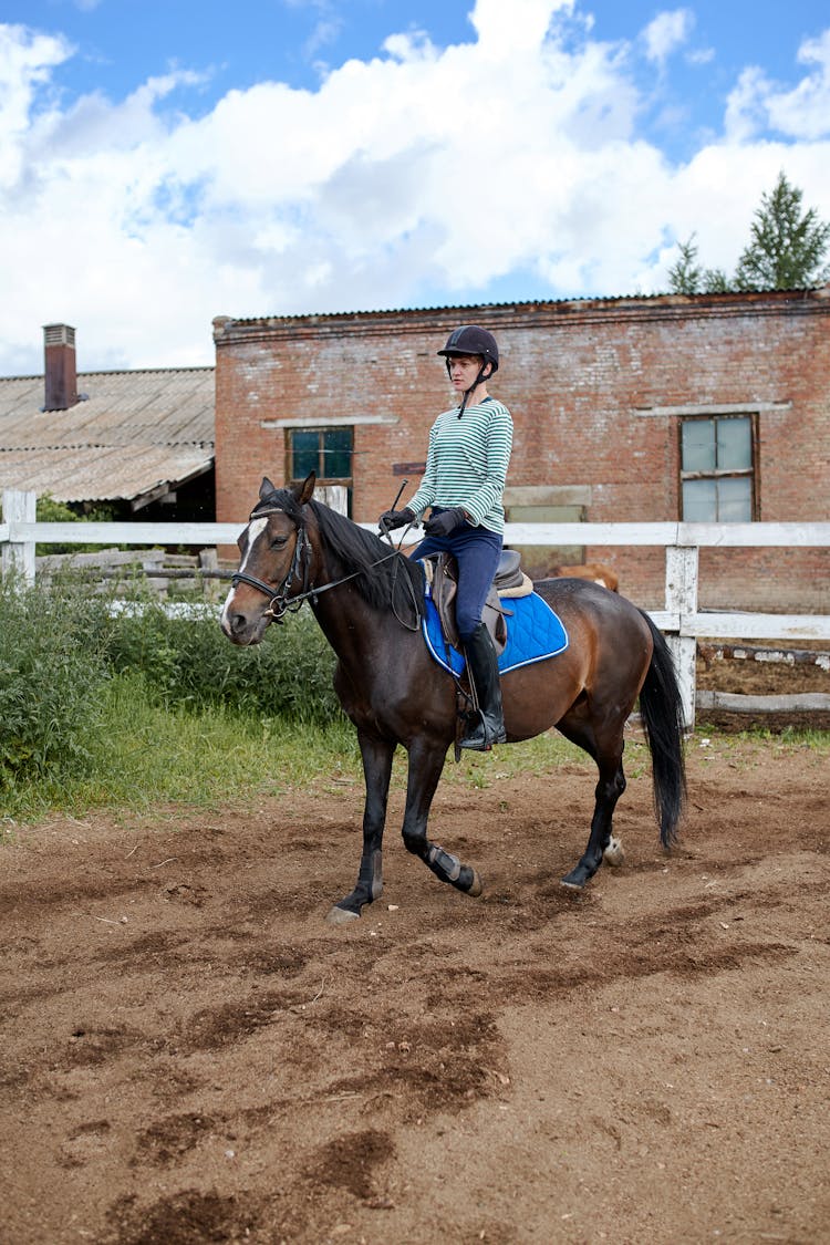 Horseback Riding Of Young Woman In Paddock