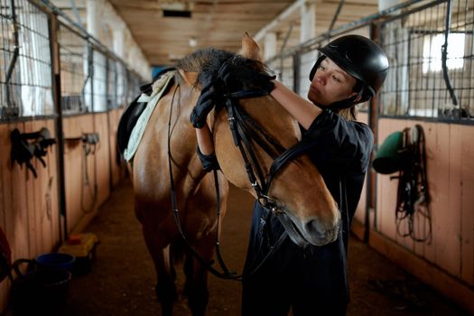 Young horsewoman in helmet and gloves tying bridle of adorable purebred bay dun horse standing in stable in countryside