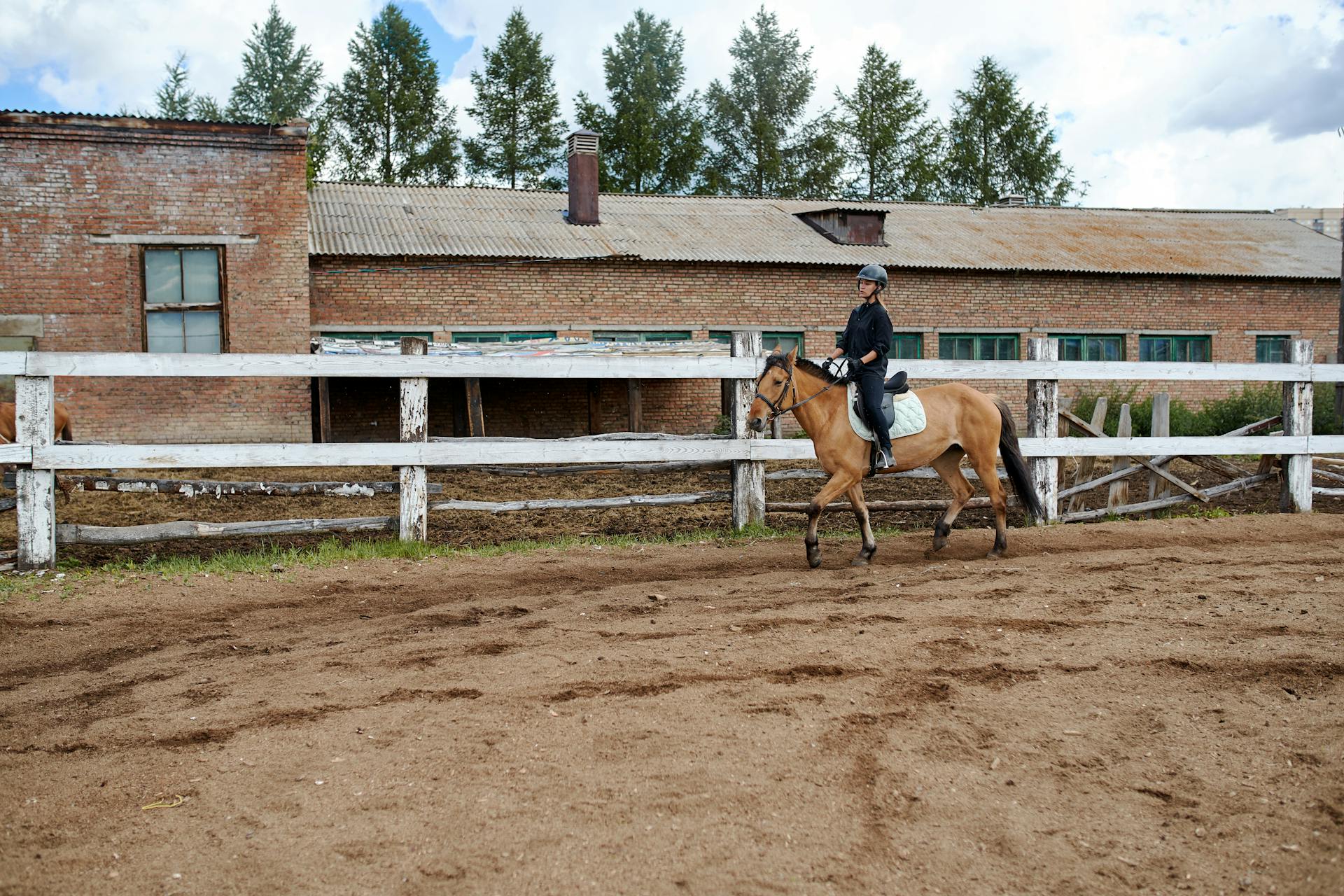 Anonymous horsewoman riding horse near fence of paddock in ranch