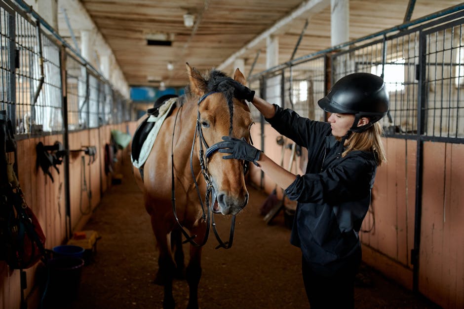 professional animal fencing