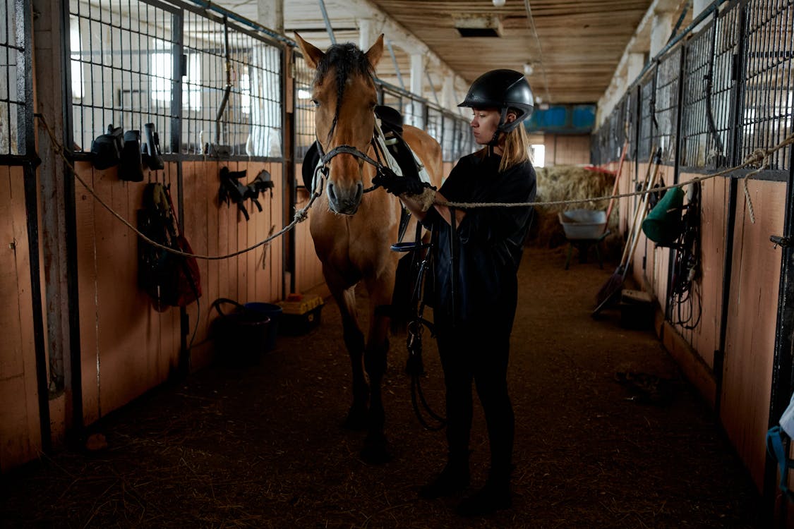 Молодая женщина с лошадью в конюшне · Бесплатные стоковые фото