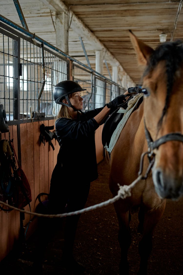 Woman Preparing Horse For Riding In Stable