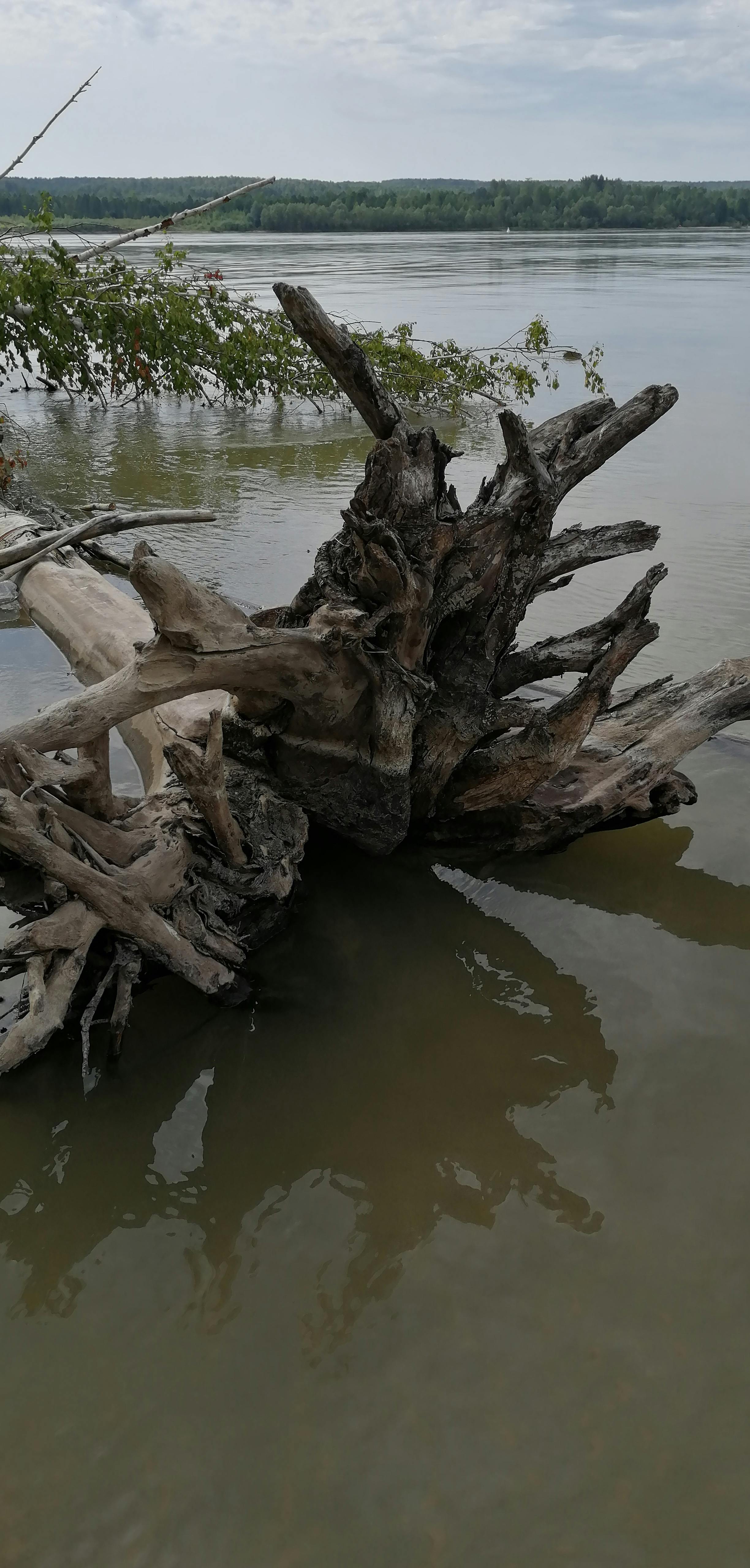 Roof Repair & Replacement