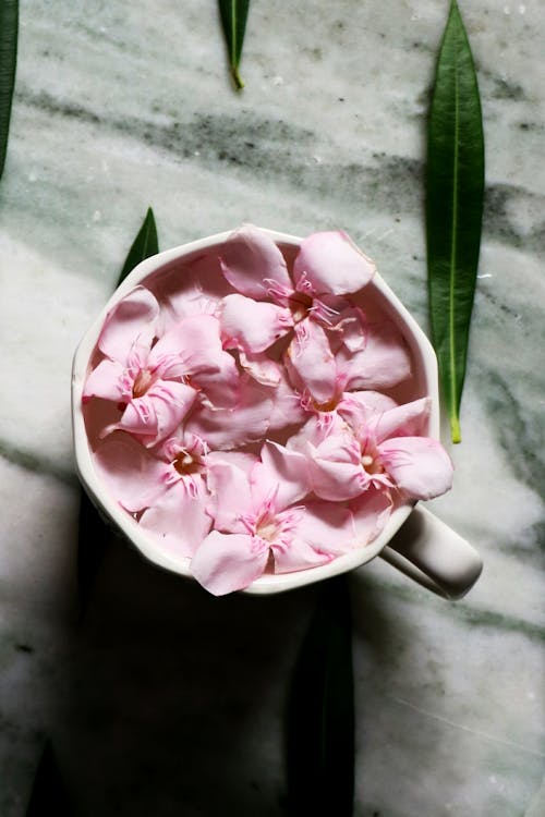 Blooming delicate flowers placed in ceramic cup