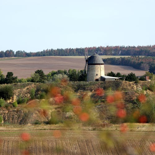 A Windmill on a Farm