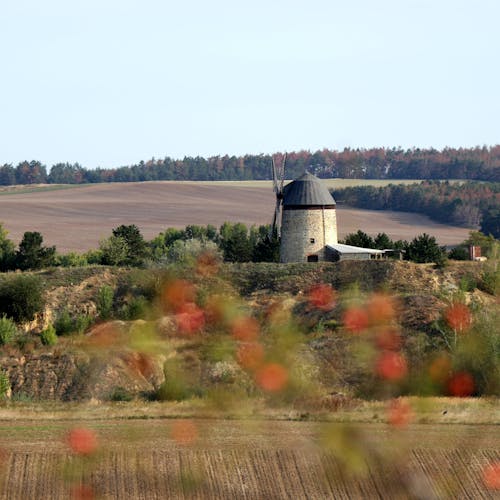 Foto profissional grátis de agricultura, área, celeiro