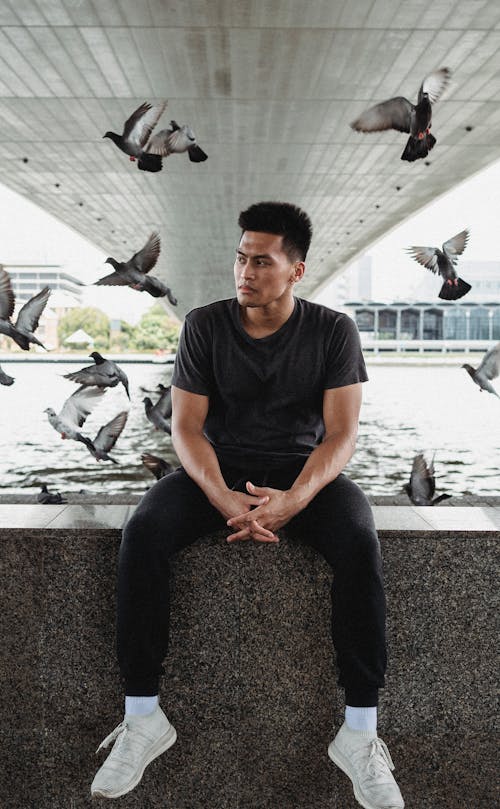 Full body of serious Asian male in white sneakers and black clothes sitting on stone embankment near flying pigeons under bridge and looking away