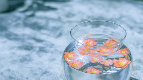 Free Close-Up Shot of a Jar of Water with Pink Flowers Stock Photo
