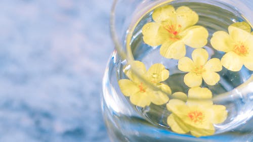 Free Close-Up Shot of a Jar of Water with Yellow Flowers Stock Photo