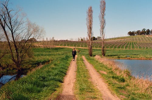 걷고 있는, 농장, 농촌의의 무료 스톡 사진