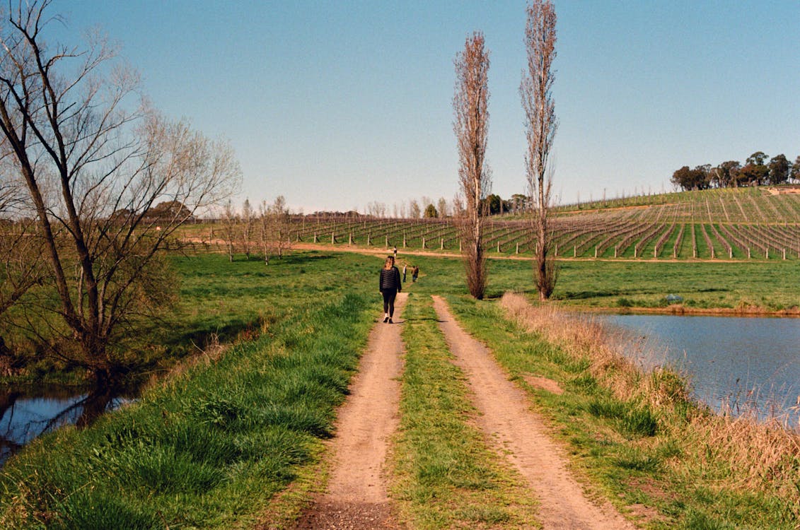 Kostenloses Stock Foto zu außerorts, bauernhof, feld