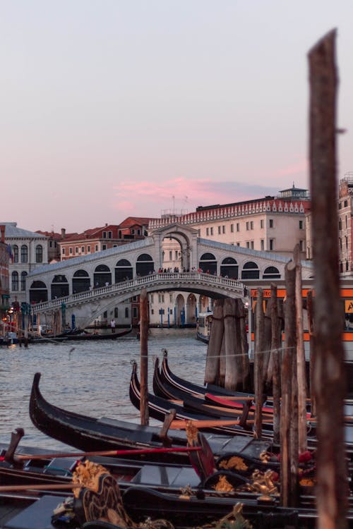 Безкоштовне стокове фото на тему «Венеціанський, Венеція, вертикальні постріл»