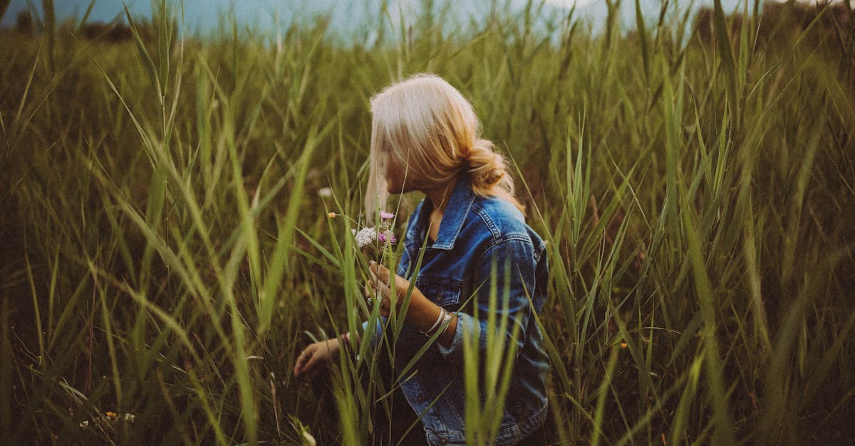 How to dry pressed flowers in the microwave
