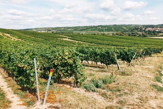 Barossa and McLaren Vale: Which Side of the Character Preservation District Line Is Your Land On?