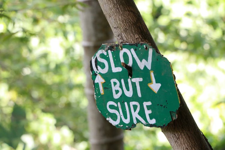 Sign Saying Slow But Sure Attached To A Tree