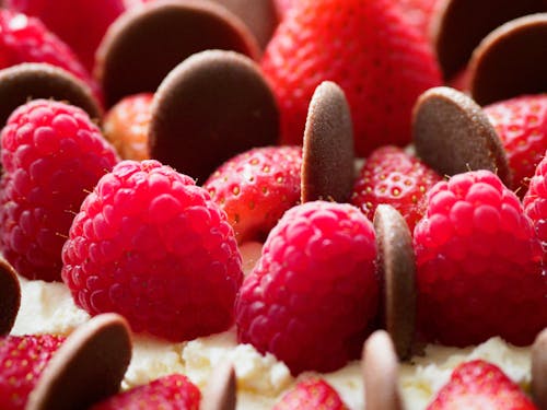Free Dessert in Close Up Photography Stock Photo