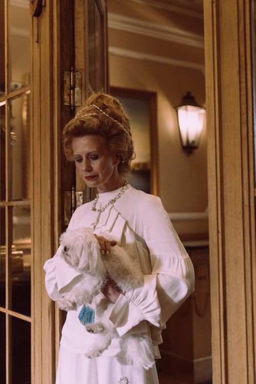 Free Elegant woman in luxurious gown holding a Maltese dog in a sophisticated interior. Stock Photo