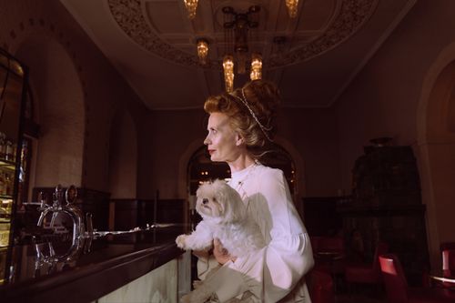 Free Sophisticated woman holding a Maltese dog in an ornate bar setting. Elegant and classy. Stock Photo
