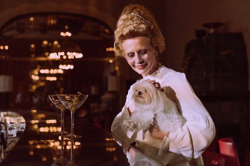 Free A stylish woman holding her fluffy dog indoors, surrounded by elegant lighting. Stock Photo