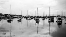 Sailboats in Marina Reflecting in Water