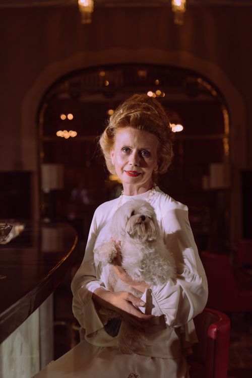 Free Portrait of a sophisticated woman with a Maltese dog in an elegant indoor setting. Perfect for lifestyle and luxury themes. Stock Photo