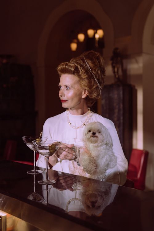 Free Elegant woman with a small dog at a luxury bar setting, exuding class and sophistication. Stock Photo