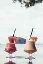Slushes garnished with fresh watermelon and pineapple slices