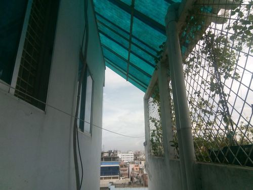 Free stock photo of buildings, city, plants Stock Photo