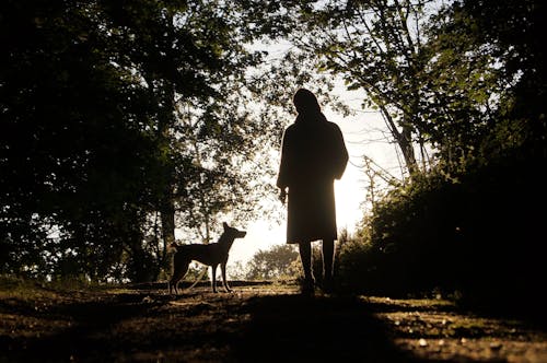 Free Silhouette of a Woman Standing Beside a Dog Stock Photo