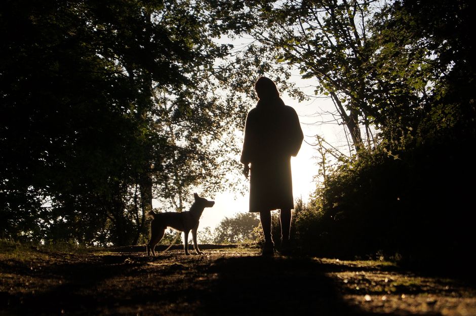 A silhouette of a woman and her dog in a forest, illuminated by the sunrise.
