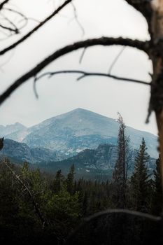 Captivating view of a snowy mountain peak framed by trees in Rocky Mountain National Park.