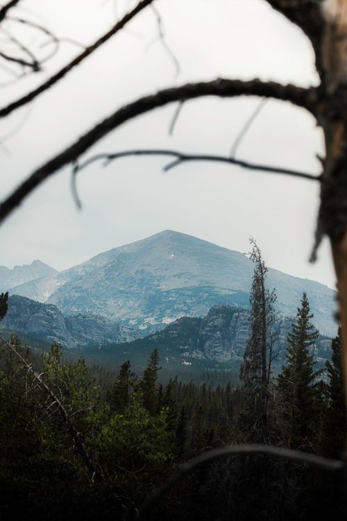 Free Captivating view of a snowy mountain peak framed by trees in Rocky Mountain National Park. Stock Photo