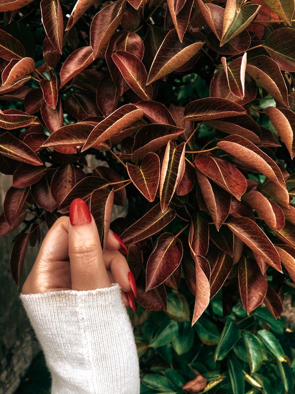 Deep berry manicure on short square nails