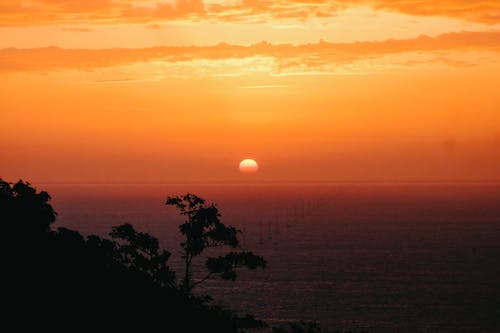 Foto profissional grátis de alvorecer, árvores, cair da noite